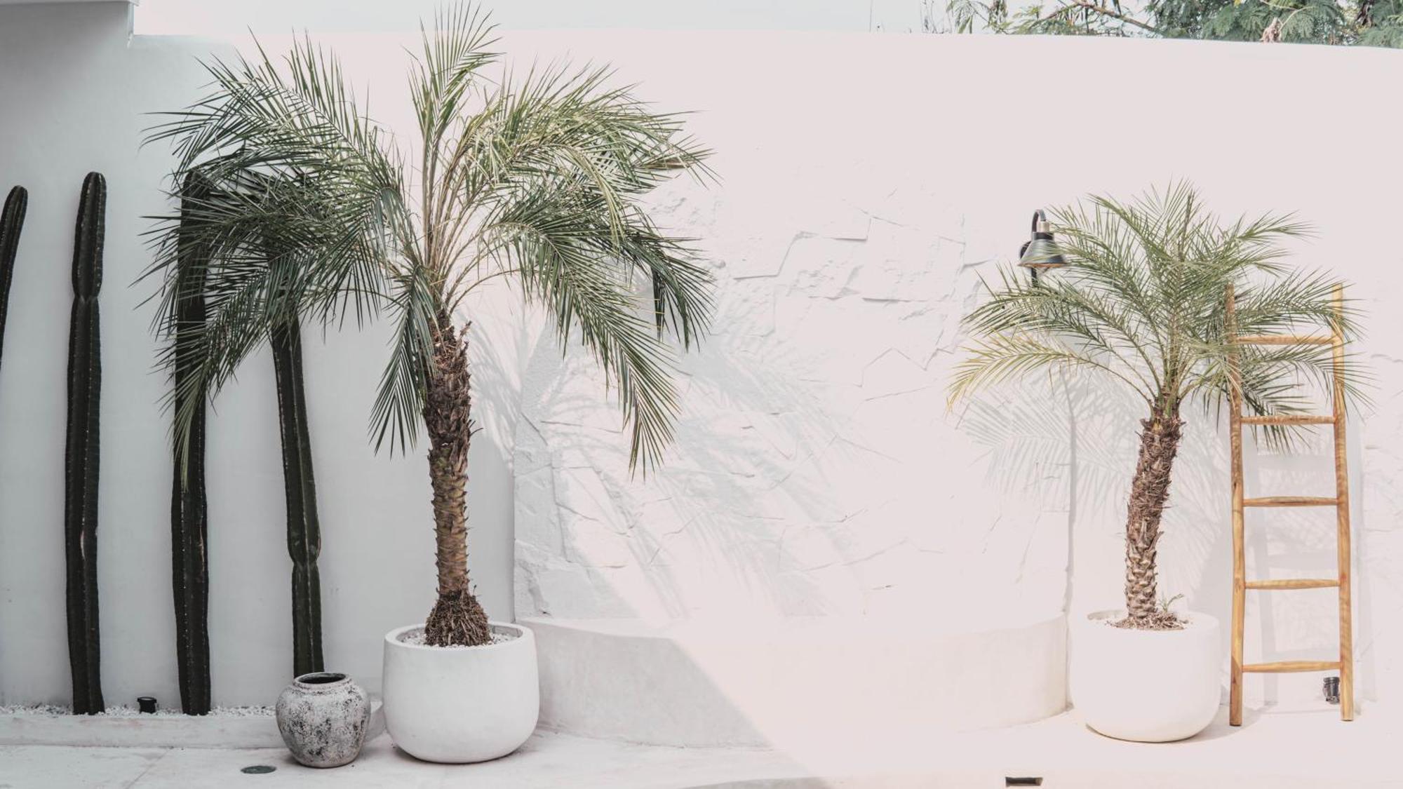 Bohemian Jogja Villas With Private Pool Kejayan Exterior foto